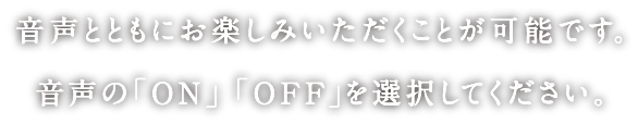 音声とともにお楽しみいただくことが可能です。音声の「ON」「OFF」を選択してください。
